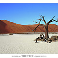 HIDDEN VLEI