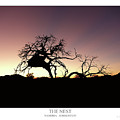 THE NEST